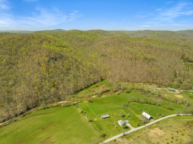 6473 Wildie Rd, Mount Vernon, KY 40456 - aerial view with a view of trees