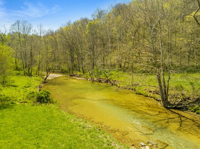 6473 Wildie Rd, Mount Vernon, KY 40456 - view of property's community with a wooded view