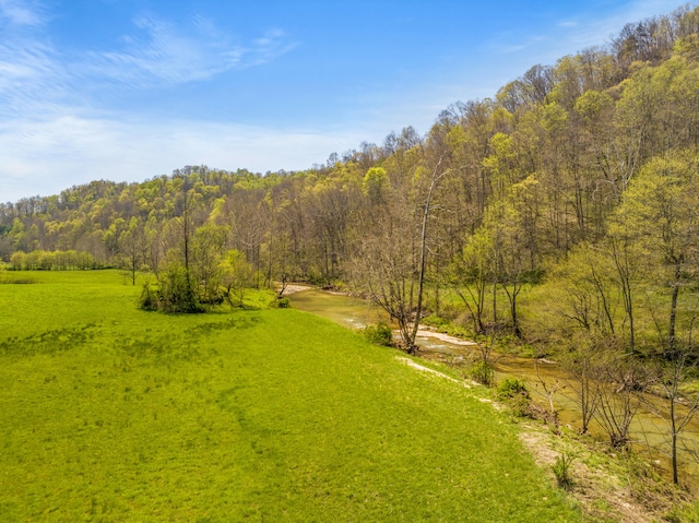 6473 Wildie Rd, Mount Vernon, KY 40456 - view of yard featuring a view of trees