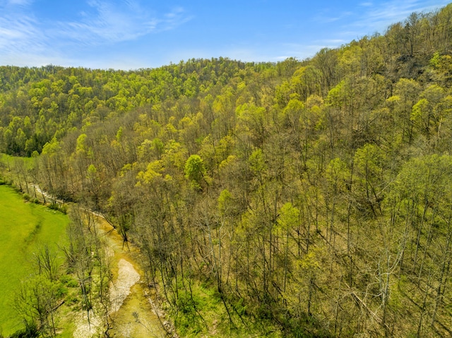 6473 Wildie Rd, Mount Vernon, KY 40456 - birds eye view of property with a forest view