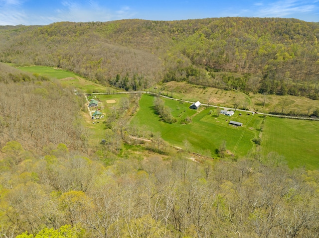 6473 Wildie Rd, Mount Vernon, KY 40456 - bird's eye view featuring a rural view, a forest view, and a mountain view