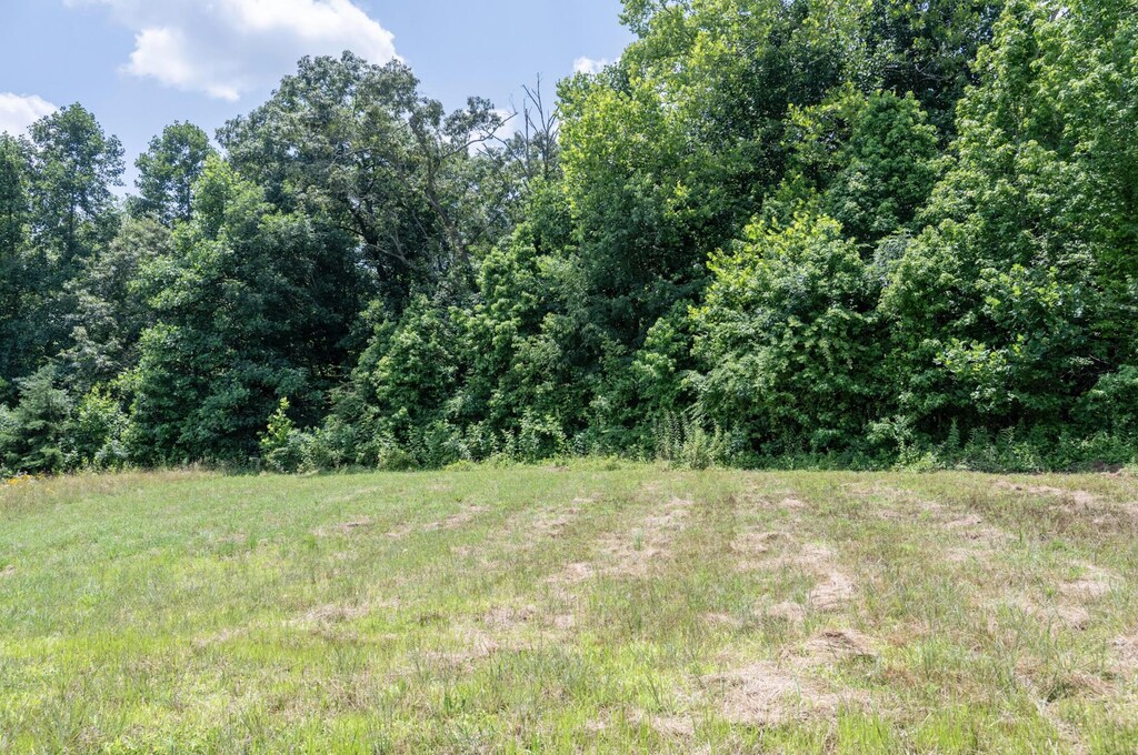 LOT24 Outlook Dr, Owingsville, KY 40360