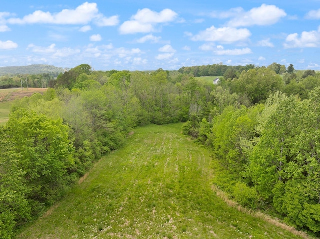 aerial view with a forest view