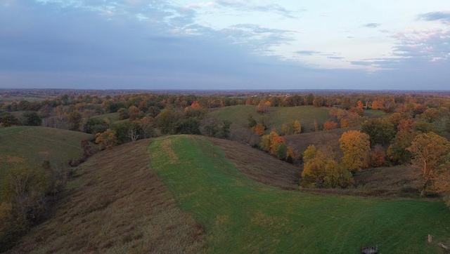 aerial view with a forest view