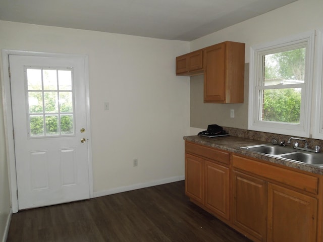 217 Dorothy Ave, Danville, KY 40422 - kitchen featuring brown cabinetry, a sink, dark wood-type flooring, and a wealth of natural light