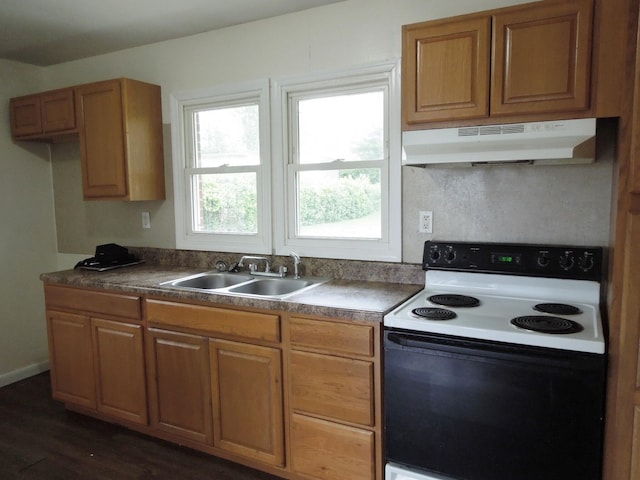 217 Dorothy Ave, Danville, KY 40422 - kitchen featuring dark wood-style floors, under cabinet range hood, a sink, electric range oven, and brown cabinetry