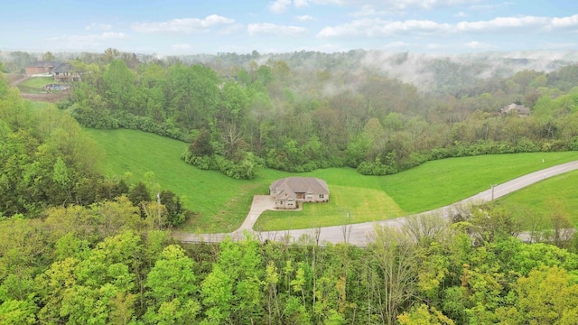 600 Avawam Dr, Richmond, KY 40475 - bird's eye view with a forest view