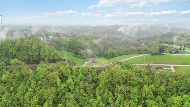 600 Avawam Dr, Richmond, KY 40475 - drone / aerial view featuring a view of trees
