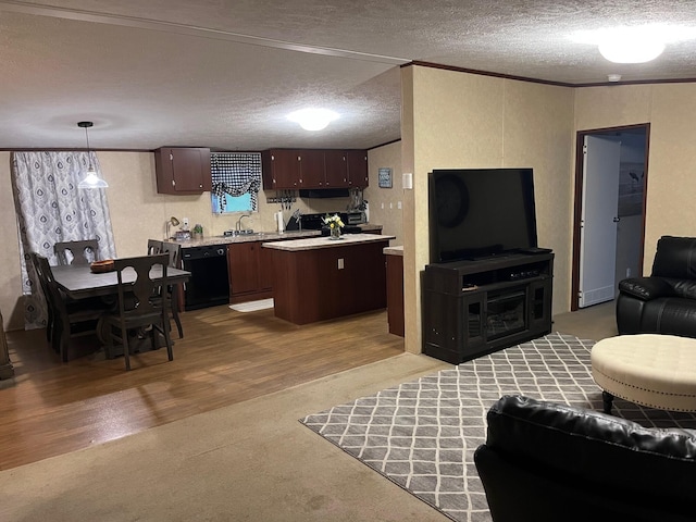 501 Smith Rd, Manchester, KY 40962 - living room with light wood-type flooring, a textured ceiling, light colored carpet, and crown molding