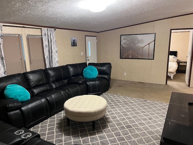 501 Smith Rd, Manchester, KY 40962 - carpeted living room with a textured wall, a textured ceiling, ornamental molding, and a decorative wall