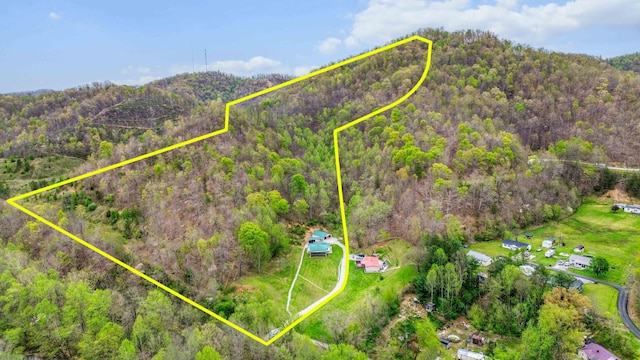 501 Smith Rd, Manchester, KY 40962 - bird's eye view featuring a forest view