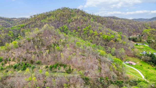 501 Smith Rd, Manchester, KY 40962 - drone / aerial view featuring a forest view and a mountain view
