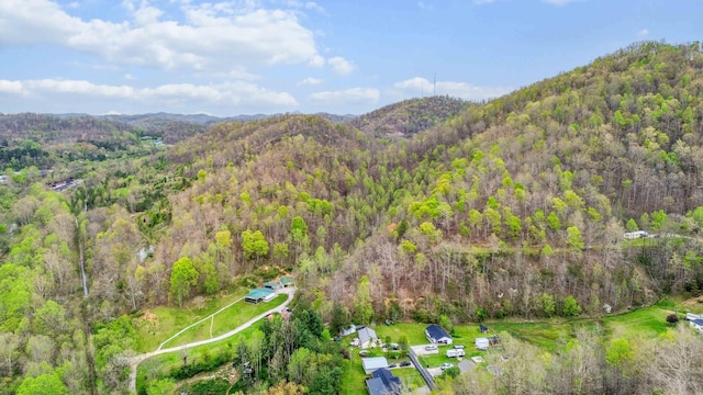501 Smith Rd, Manchester, KY 40962 - bird's eye view with a forest view and a mountain view