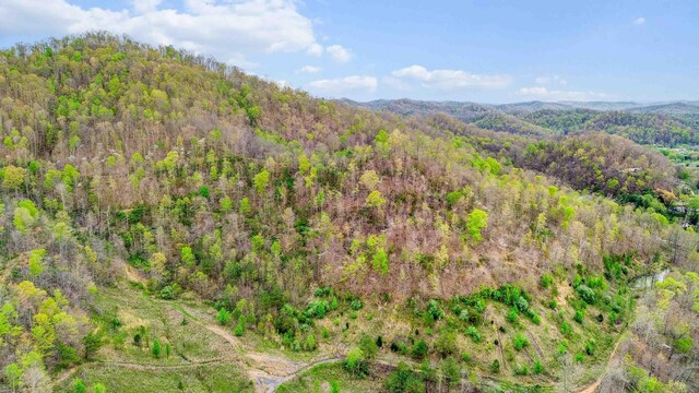 501 Smith Rd, Manchester, KY 40962 - birds eye view of property with a view of trees and a mountain view