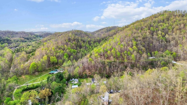 501 Smith Rd, Manchester, KY 40962 - birds eye view of property featuring a view of trees and a mountain view