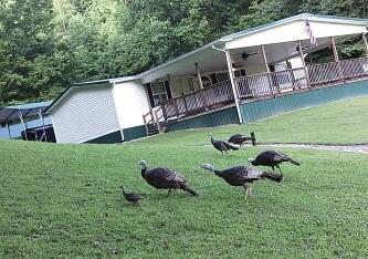 501 Smith Rd, Manchester, KY 40962 - exterior space