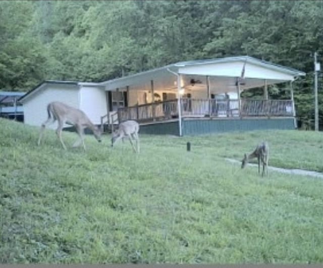 501 Smith Rd, Manchester, KY 40962 - view of property's community featuring a lawn and a forest view