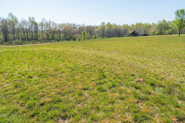 view of yard with a rural view