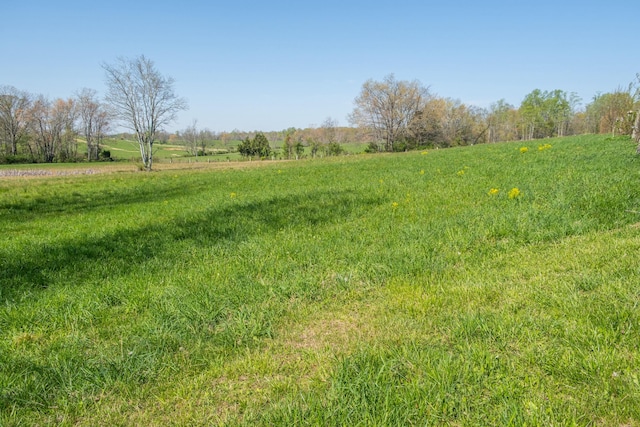 view of yard featuring a rural view