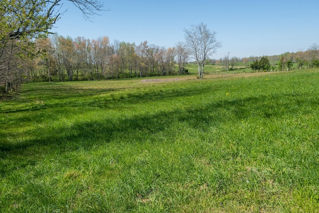 view of yard with a rural view