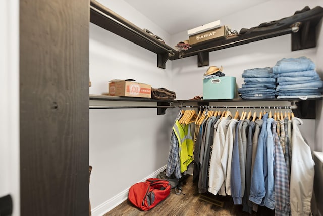 walk in closet featuring wood finished floors