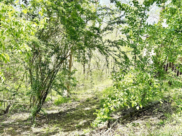 470 Cedar Bluff Rd, Monticello, KY 42633 - view of landscape with a forest view