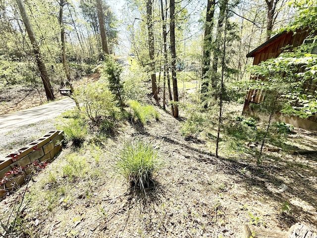 470 Cedar Bluff Rd, Monticello, KY 42633 - view of local wilderness