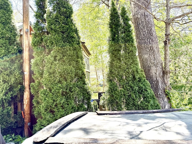 470 Cedar Bluff Rd, Monticello, KY 42633 - exterior space