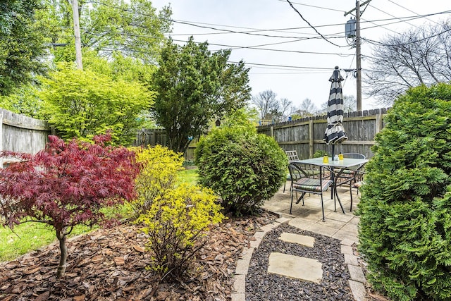 view of yard with a patio area, outdoor dining space, and fence