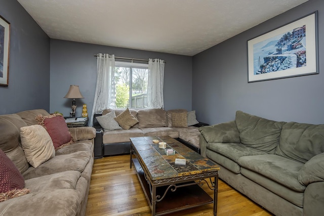 living room featuring wood finished floors