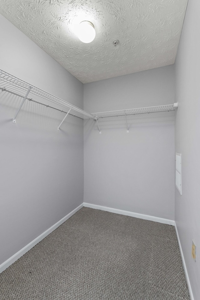 1081 S Broadway Unit 104, Lexington, KY 40504 - walk in closet with carpet floors