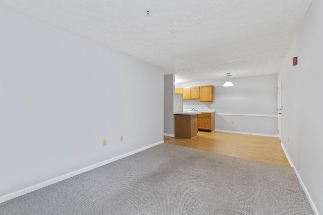 1081 S Broadway Unit 104, Lexington, KY 40504 - unfurnished living room featuring baseboards, a textured ceiling, and light colored carpet