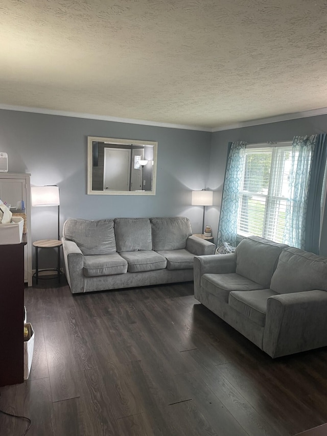 living area featuring wood finished floors, a textured ceiling, and ornamental molding