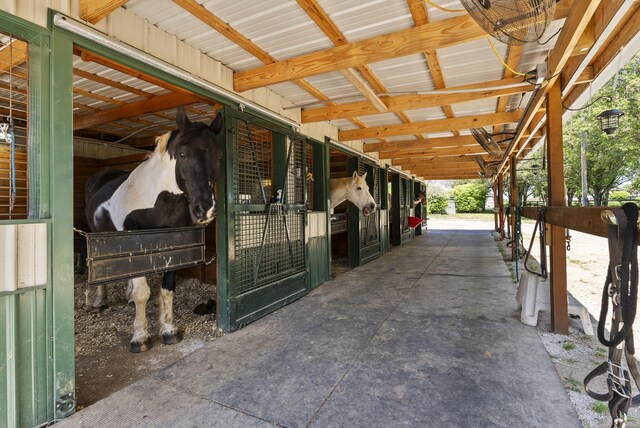 view of stable