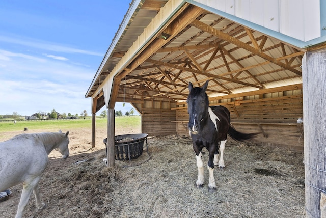 view of horse barn