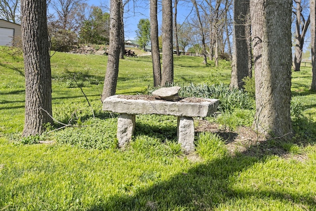 exterior space with a lawn