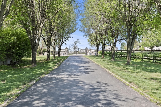 view of street with a gate
