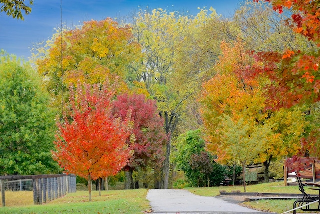 view of home's community with a yard