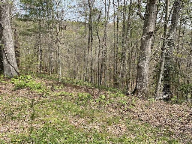 view of local wilderness featuring a forest view