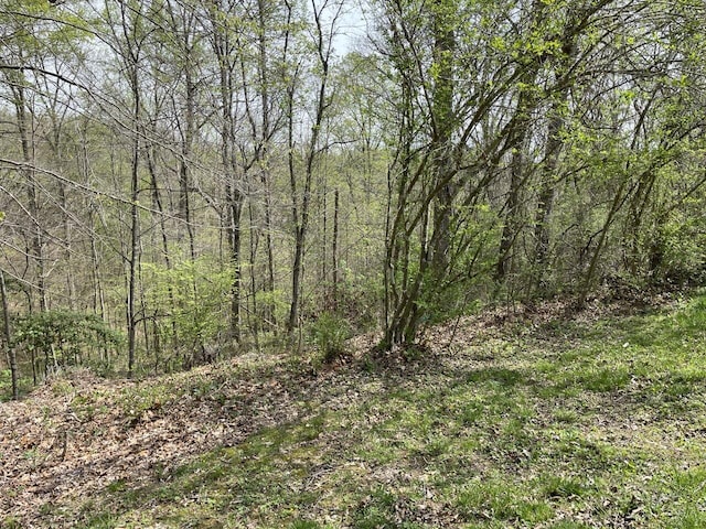 view of local wilderness featuring a forest view