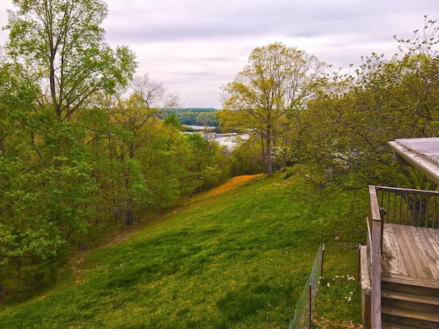 641 Webster Spradlin Rd, Monticello, KY 42633 - view of yard with a deck