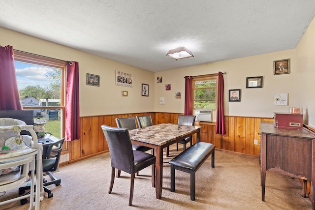 13955 Swallowfield Rd, Frankfort, KY 40601 - dining room with a wainscoted wall, a textured ceiling, wooden walls, and light carpet