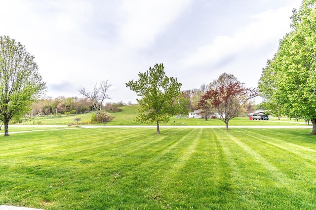 surrounding community with a yard