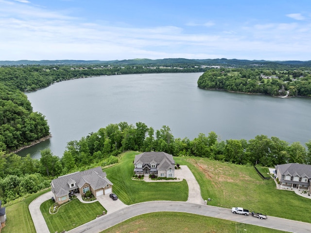 aerial view of a large body of water and a heavily wooded area
