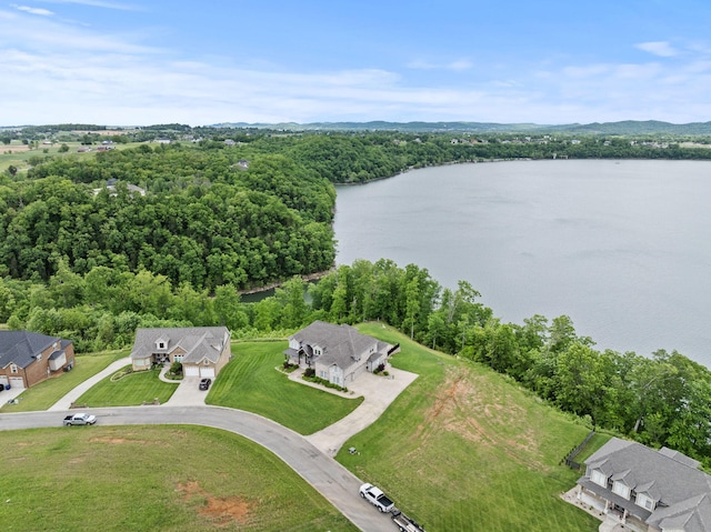 bird's eye view of a nearby body of water