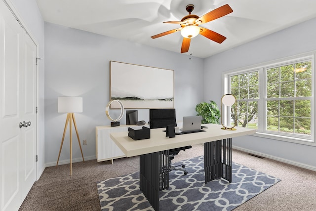 1025 Vineyard Way, Berea, KY 40403 - office area with carpet and ceiling fan