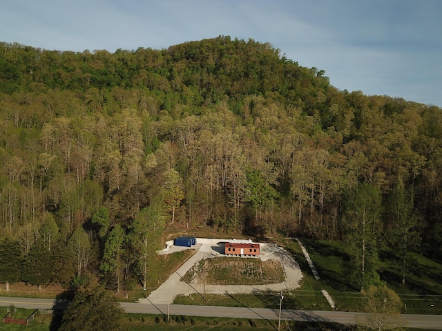 7040 Red Lick Rd, Irvine, KY 40336