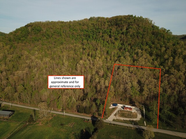 7040 Red Lick Rd, Irvine, KY 40336