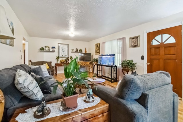 597 Snow Creek Rd, Clay City, KY 40312 - living area featuring a textured ceiling and light wood-type flooring