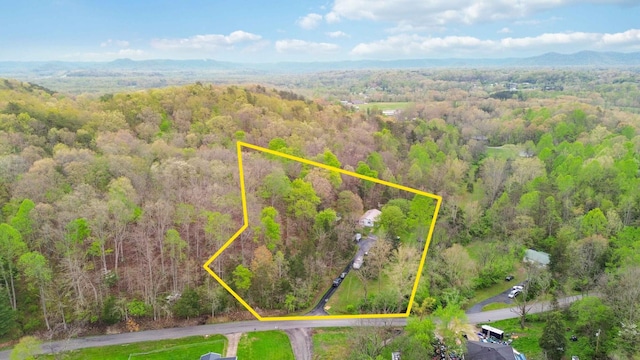 597 Snow Creek Rd, Clay City, KY 40312 - birds eye view of property with a forest view and a mountain view